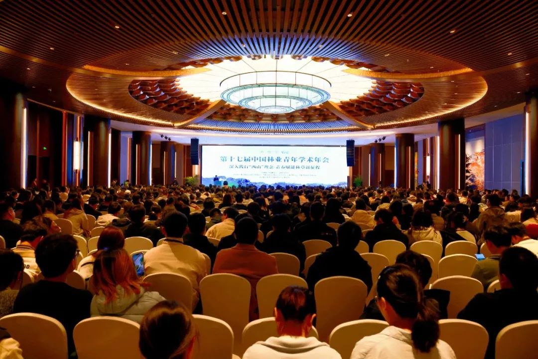 1752136833858.jpg 1752136833858.jpg