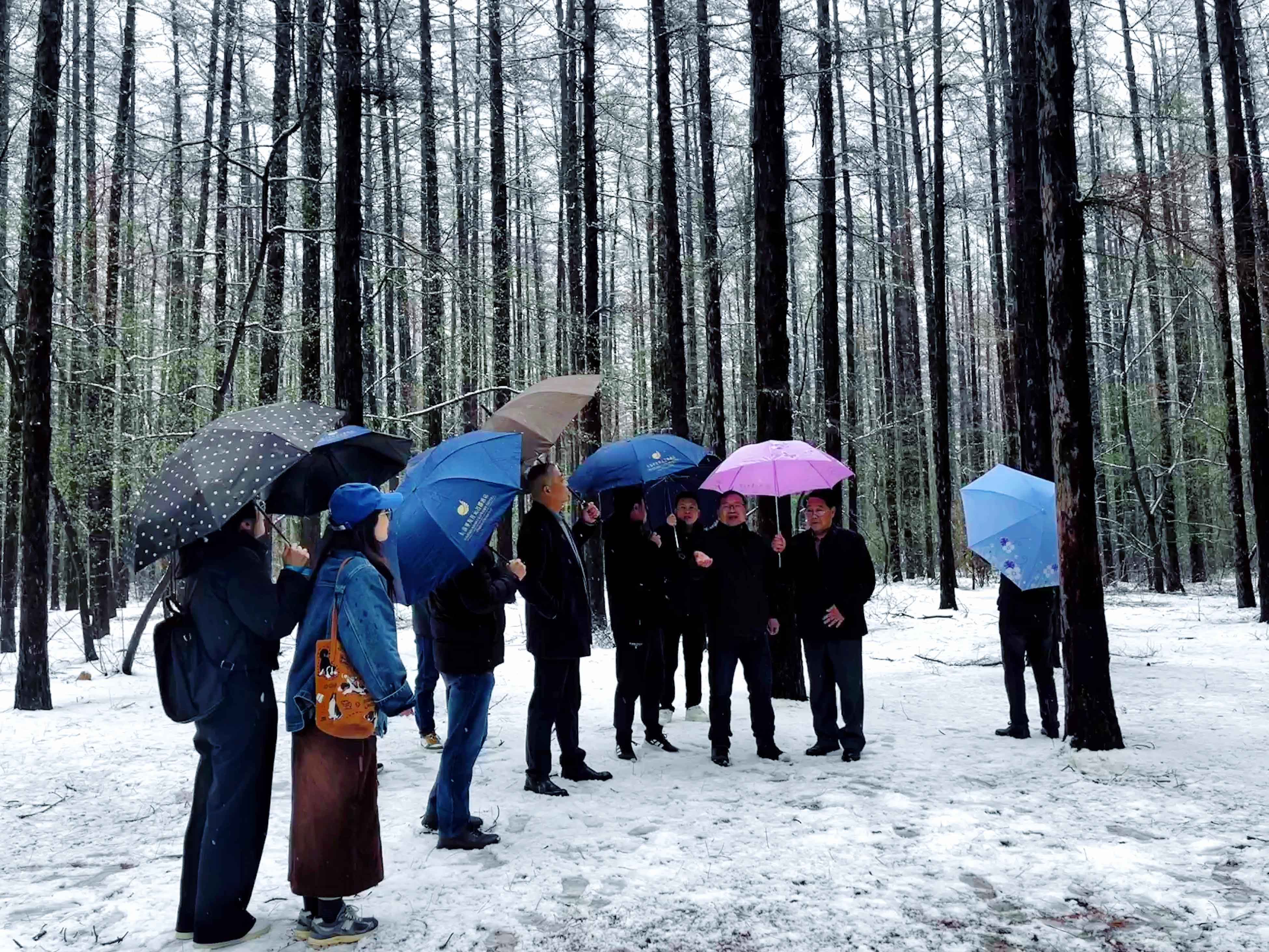 1752137154726.jpg 1752137154726.jpg