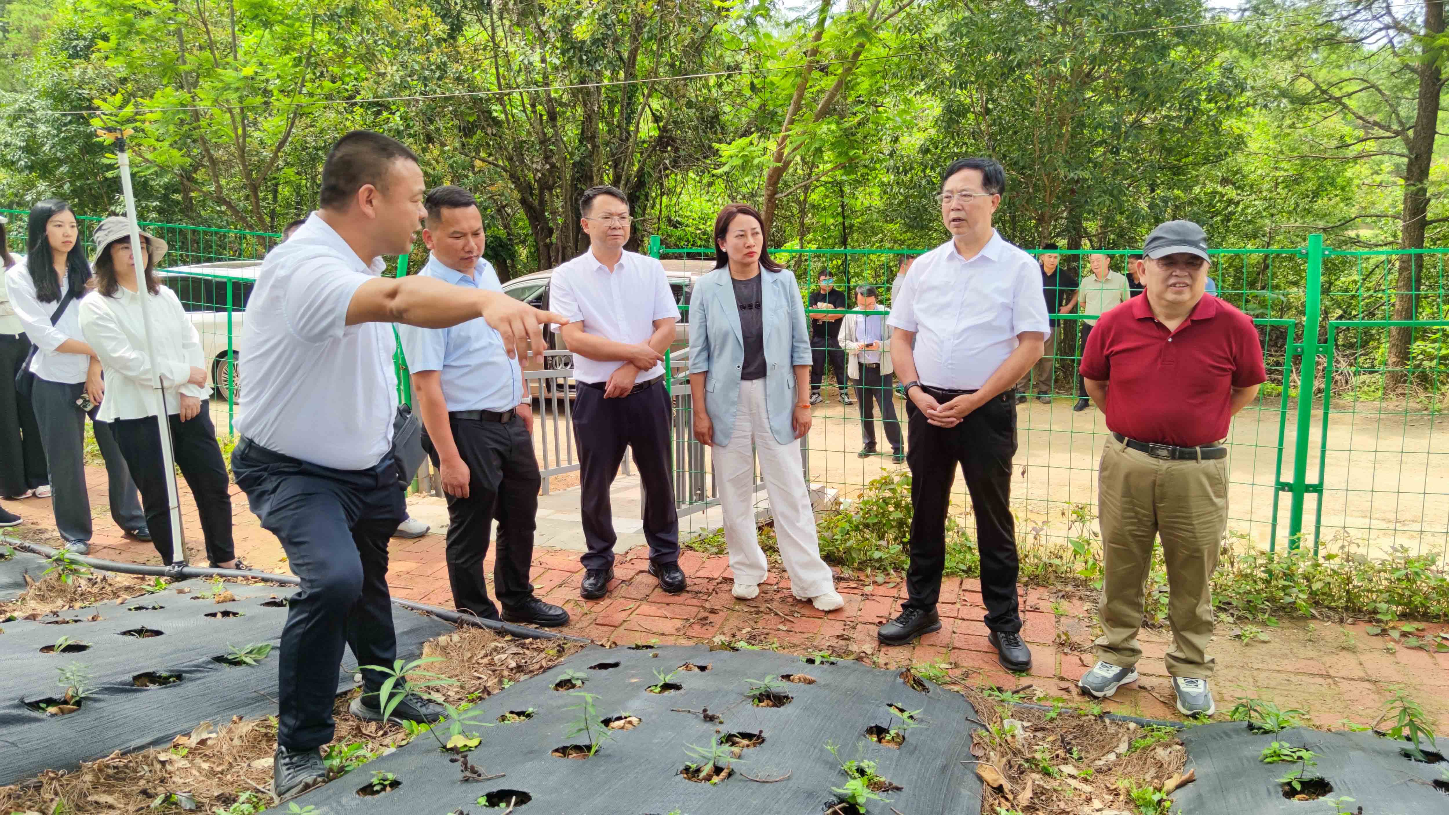 1752654562122.jpg 1752654562122.jpg