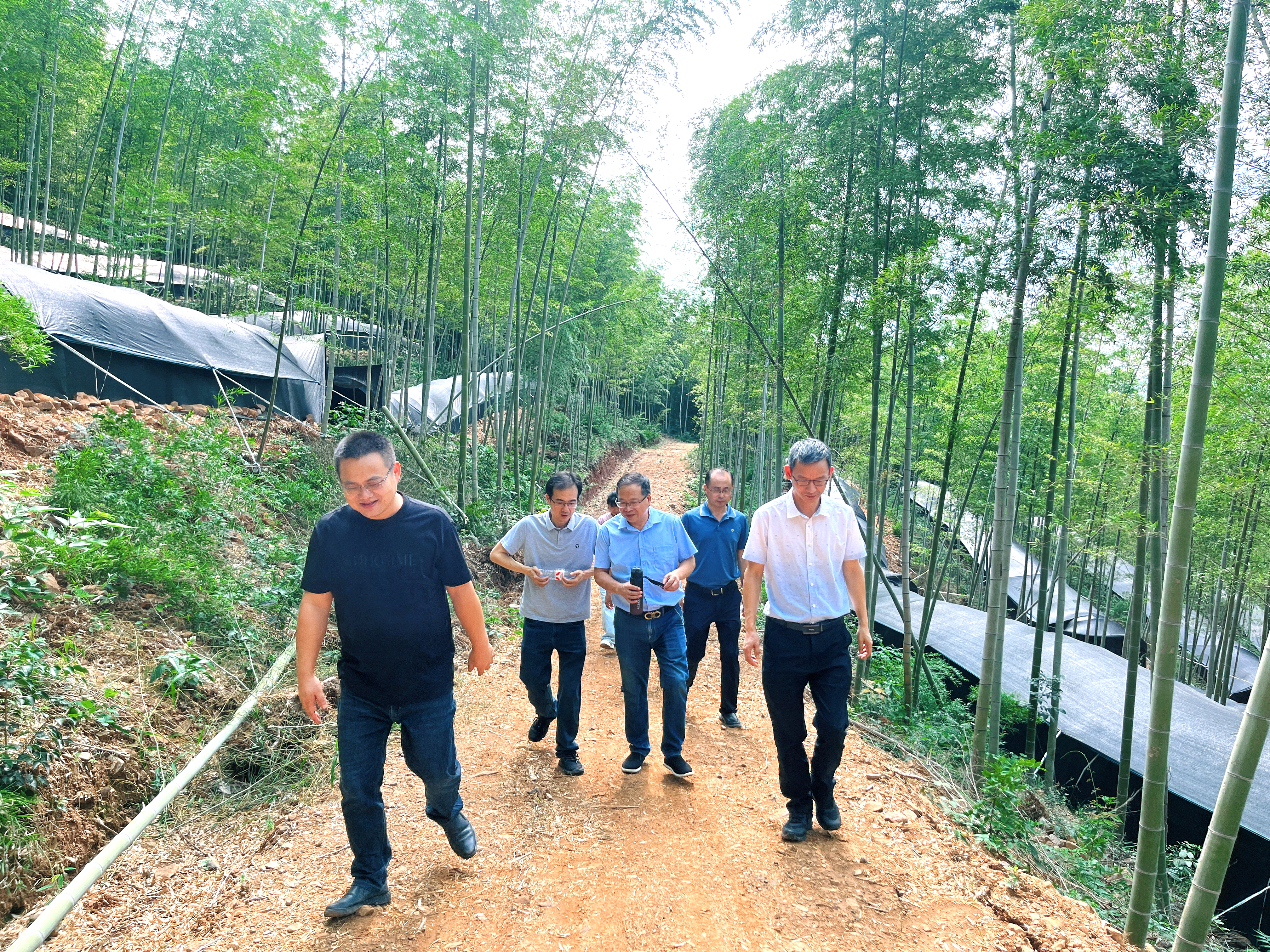 1754641458634.jpg 1754641458634.jpg