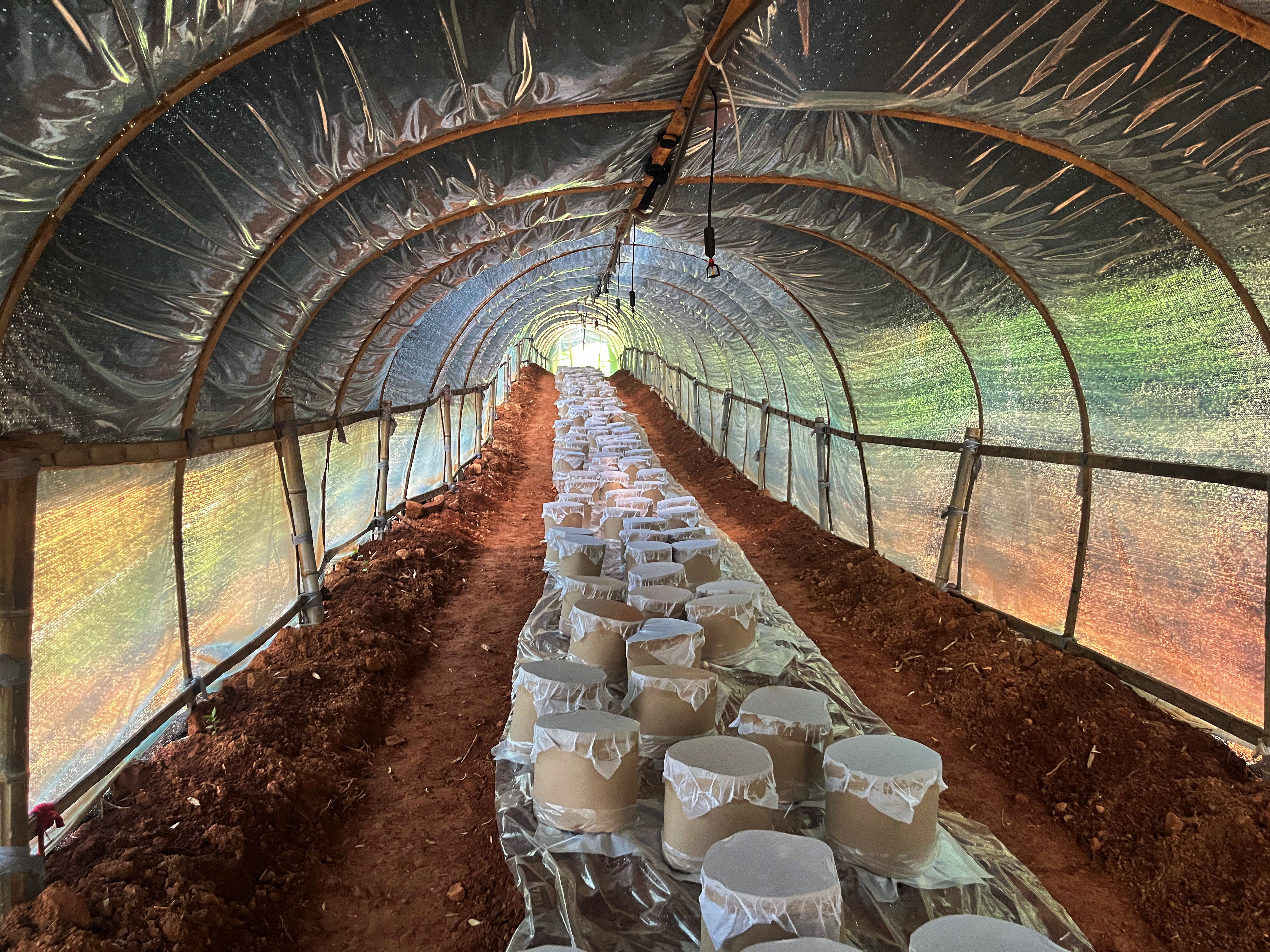 1754641524548.jpg 1754641524548.jpg