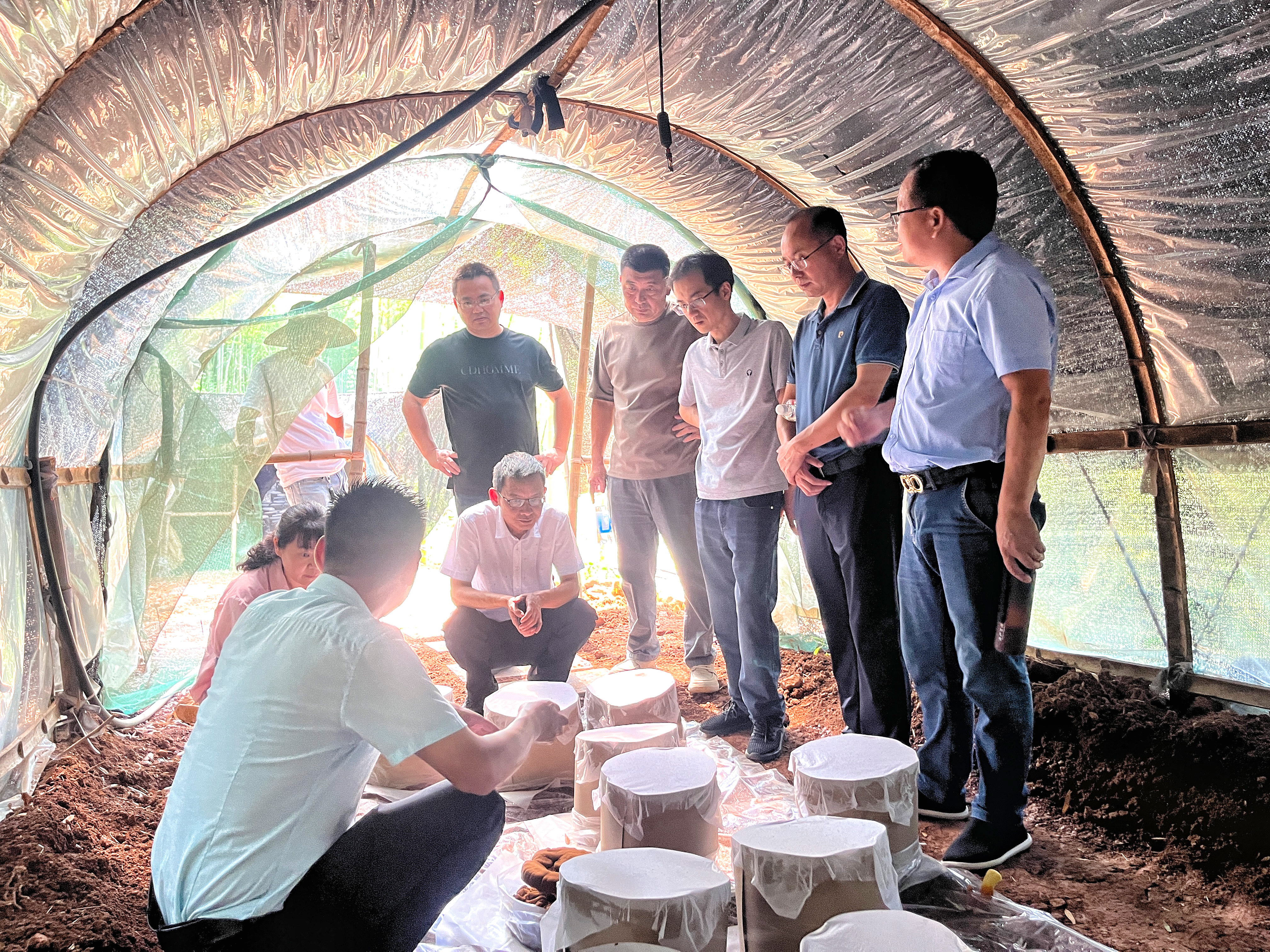 1754641616709.jpg 1754641616709.jpg