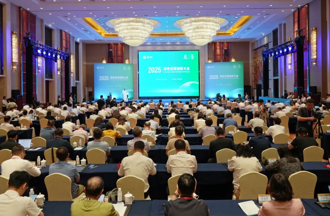 1755239416757.jpg 1755239416757.jpg