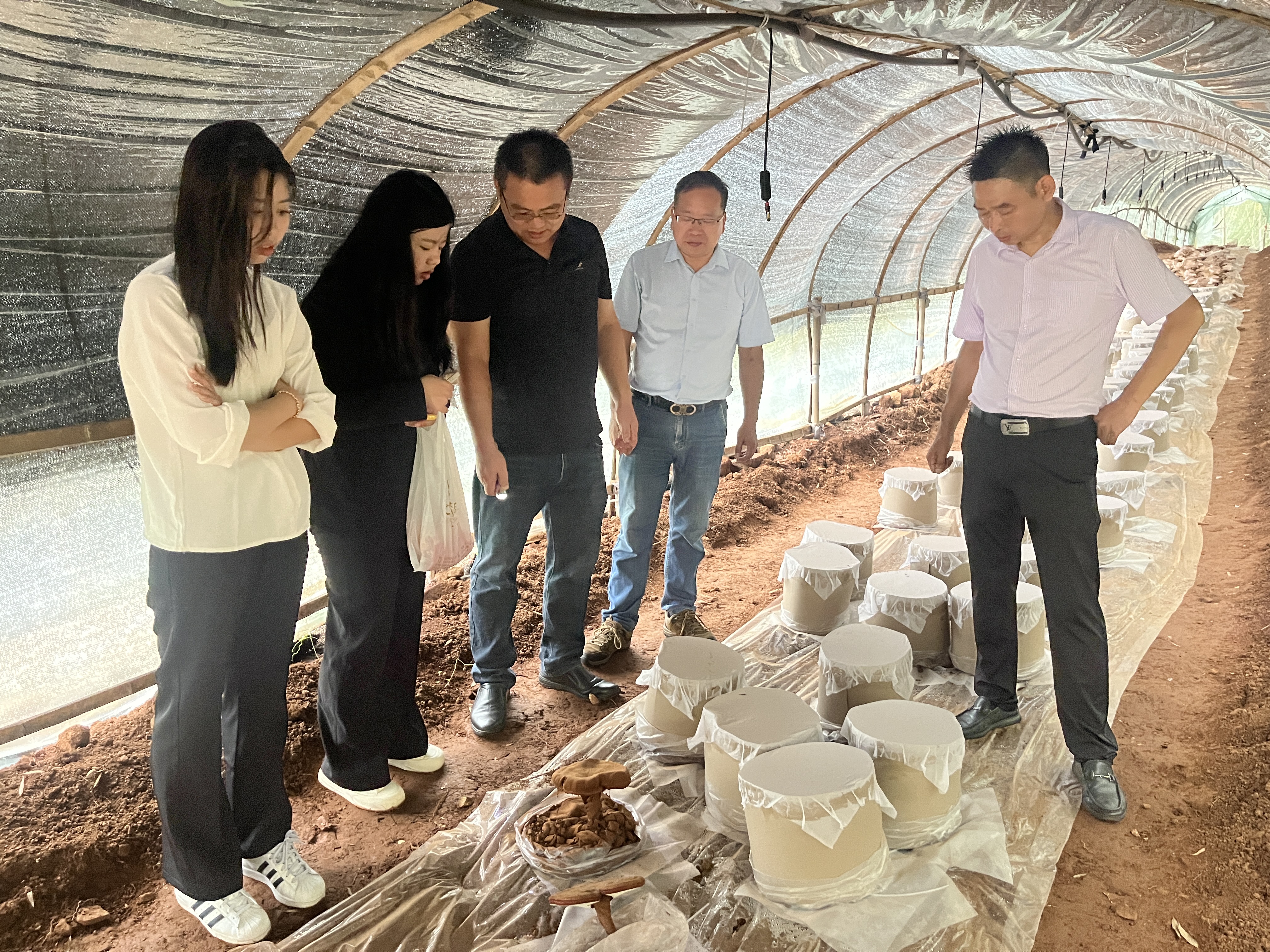 1758851005816.jpg 1758851005816.jpg